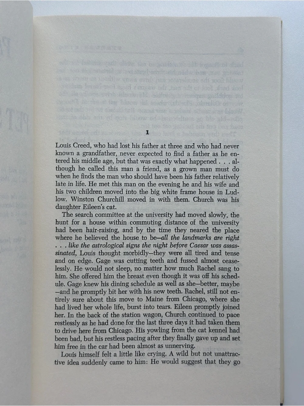 BOOK pet sematary